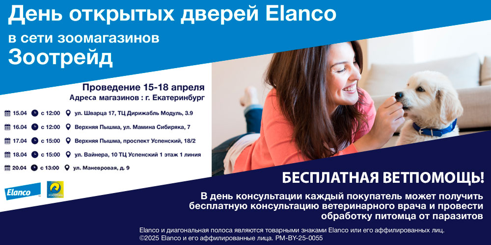 Бесплатная консультация с ветврачом 